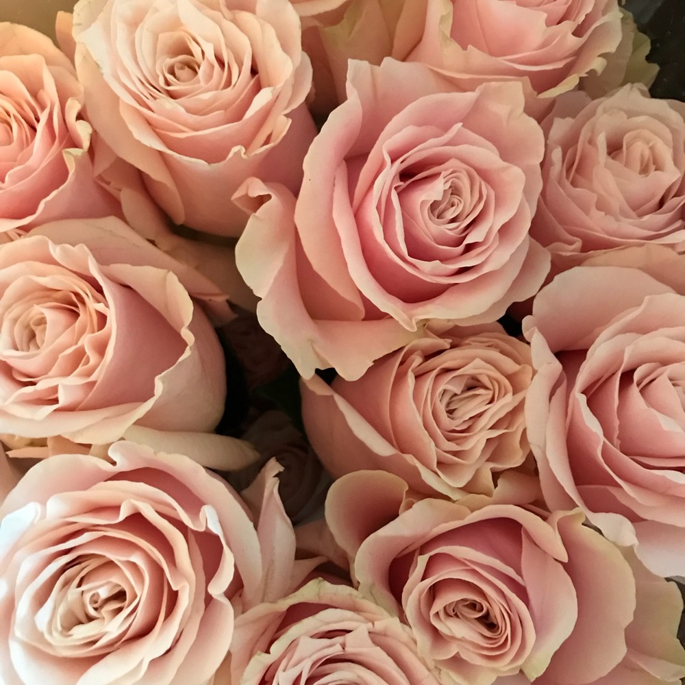 Have a wonderful day